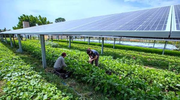 Agriculture and Solar