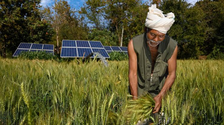 Solar Farmer